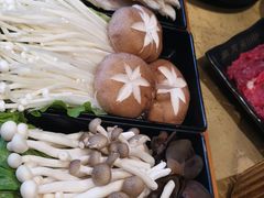 -手选潮汕鲜活牛肉火锅(二七广场店)