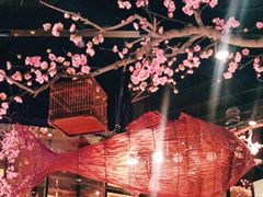 -老板恋上鱼(高新万达店)