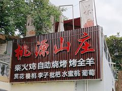 -桃源山庄·水蜜桃采摘·柴火鸡·烧烤团建(龙泉山店)