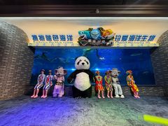 -成都浩海立方海洋公园