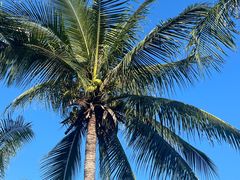 -亚龙湾国际玫瑰谷