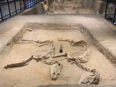 -洛阳周王城天子驾六博物馆