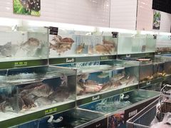 -永辉超市(鲁谷店)