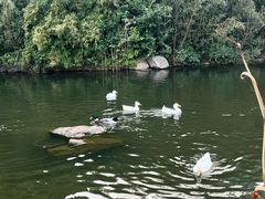-新江湾城公园