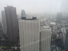 -东京都厅舍