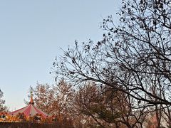 -朝阳公园游乐园