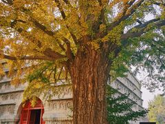 -北京石刻艺术博物馆(五塔寺)