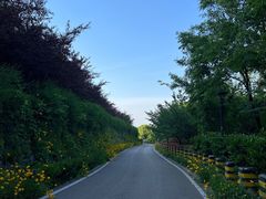 -羊山湖公园