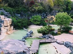 -上海吴淞炮台湾国家湿地公园