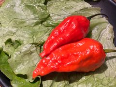 -汪爹爹武汉牛三鲜(朝外大街店)