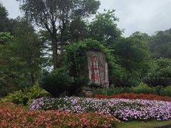 -广州白江湖森林公园