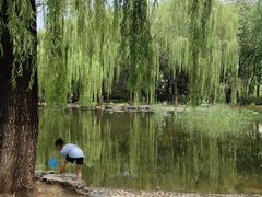 -玲珑塔公园