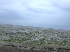 -北海金海湾红树林生态旅游区