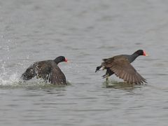 -云龙湖旅游景区