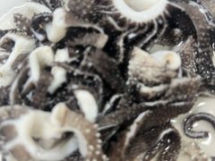 -马姐爆肚儿门丁肉饼