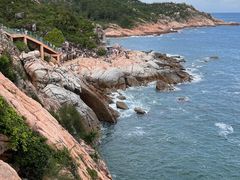 -广东惠东海龟国家级自然保护区