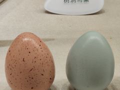 -中国湿地博物馆