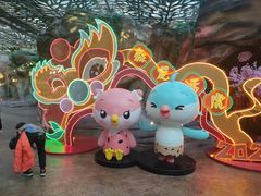 -杭州开元森泊度假乐园