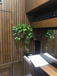 -红人馆造型世爵国际