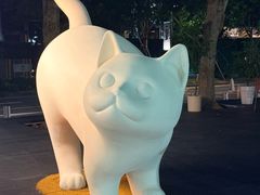 -深圳湾万象城(南山店)