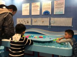 -酷嗒动物文化乐园(cutezoo西溪乐天城店)