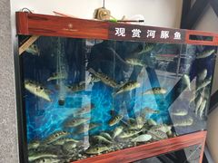 水产区-肆月河豚·新淮扬(金融街店)
