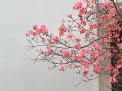 -南京民俗博物馆(甘熙故居)