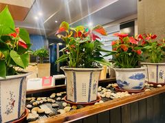 -峨嵋酒家(牡丹园店)