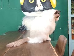 -观音桥步行街