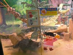 -正佳雨林生态植物园