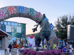 -北京鹿世界主题园