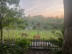 -不觉晓CAMPING(上海迪士尼营地店)