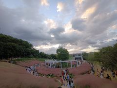 -牛岗山公园