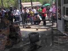 -长白岛森林公园