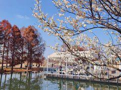 -上海辰山植物园