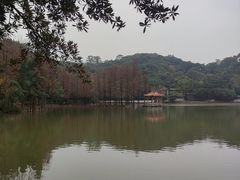 -西樵山风景名胜区-天湖公园