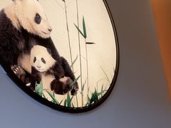 -将军府·鸡毛店(武侯祠店)