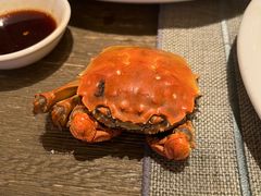 -TABLE·味西餐厅-成都茂业JW万豪酒店