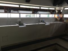 -奈斯宠物医院·核磁CT·异宠专科·内镜(中南店)