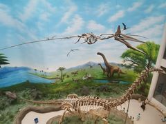 -辽宁古生物博物馆