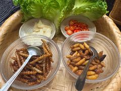 -滇野云南野生菌餐厅(陕西南路店)