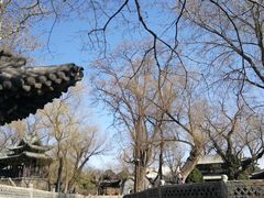 -晋祠公园
