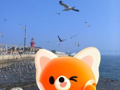 -星海广场