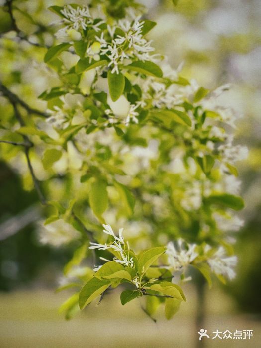 国家植物园南园图片