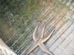 -东戴河风景区-止锚湾