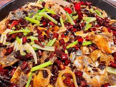 老板恋上鱼-老板恋上鱼(恒隆广场店)