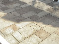 -柯斗斗主题餐厅·狗咖·围炉煮茶·茶饮(国瑞升平里店)