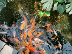 -上海大自然野生昆虫馆(东方明珠·爬宠昆虫探索中心)