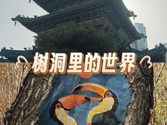 -迎泽公园