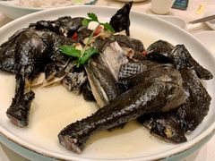 -沙龙酒家